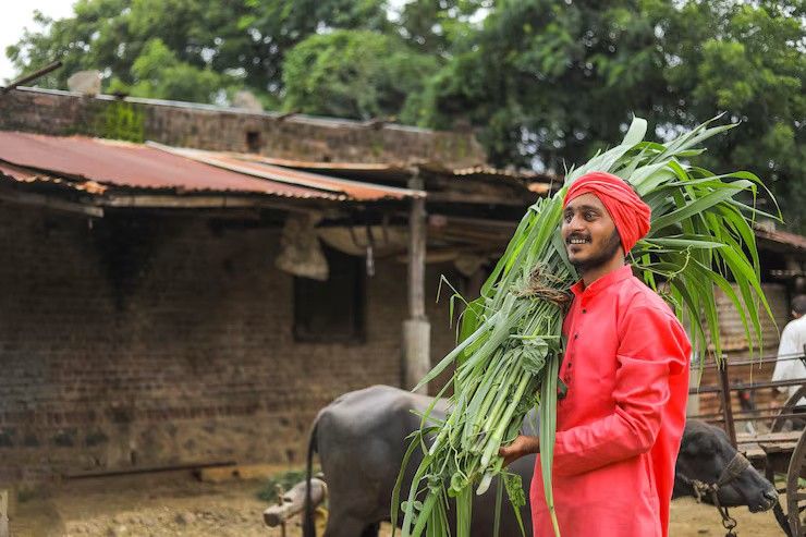 Inclusive Livelihoods